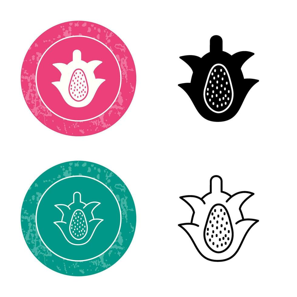 Dragon Fruit Vector Icon