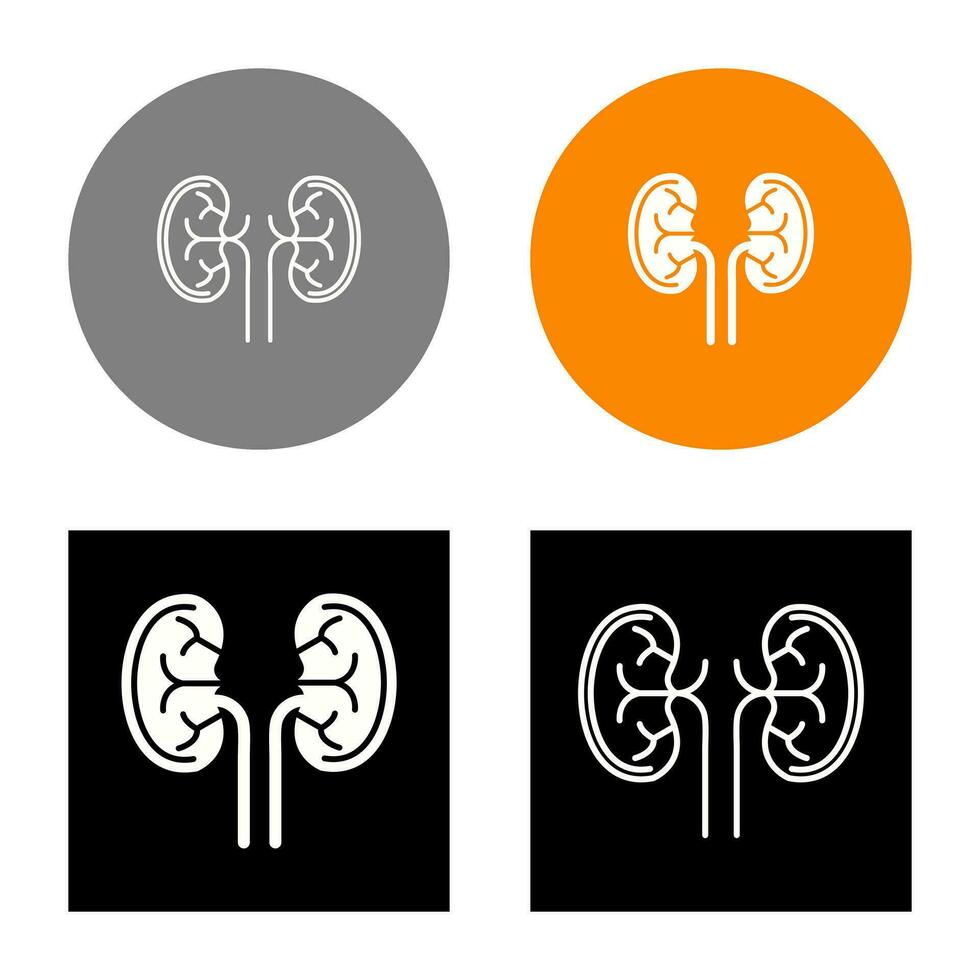 Kidney Vector Icon