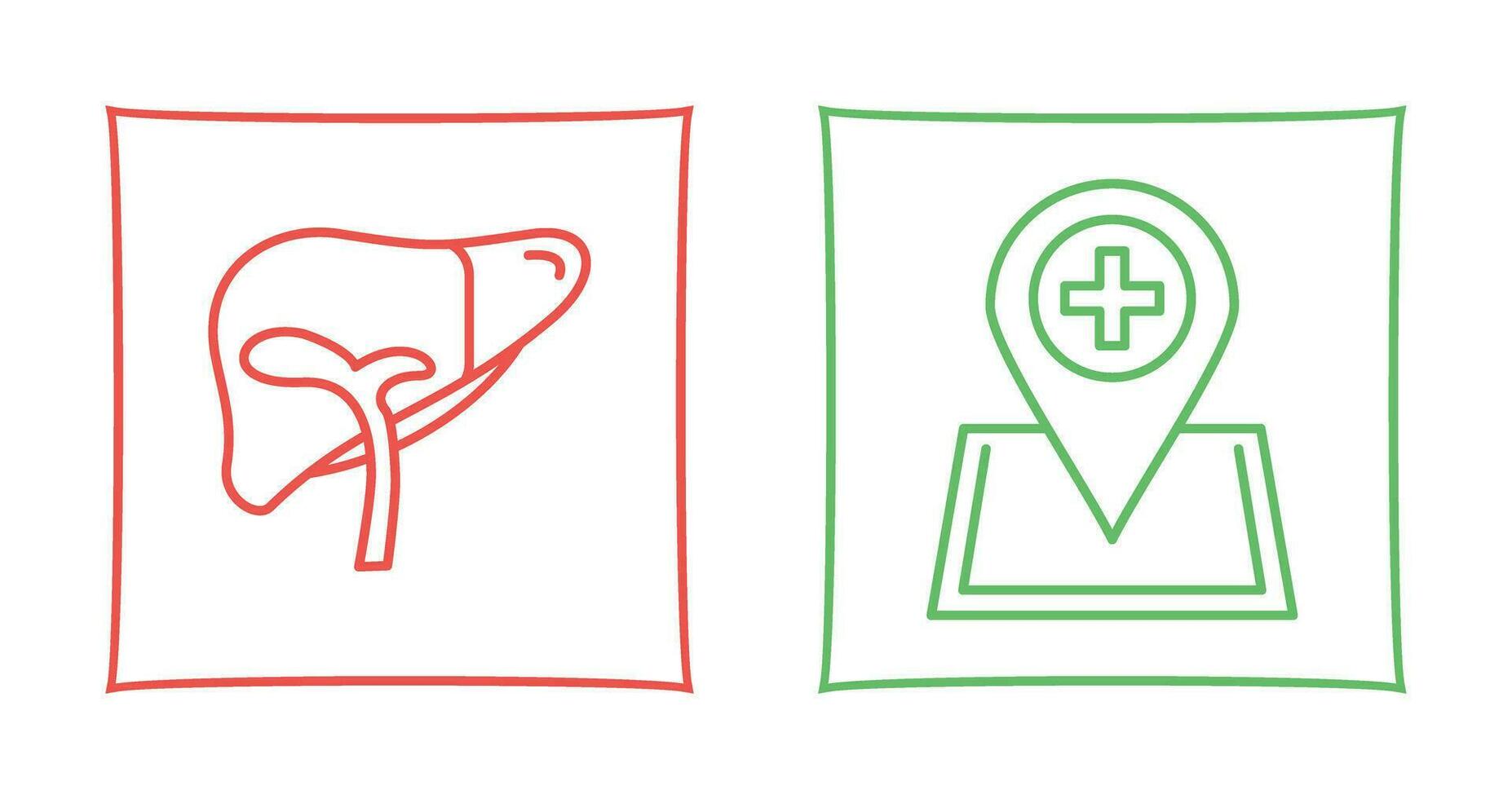 Liver and Location Icon vector