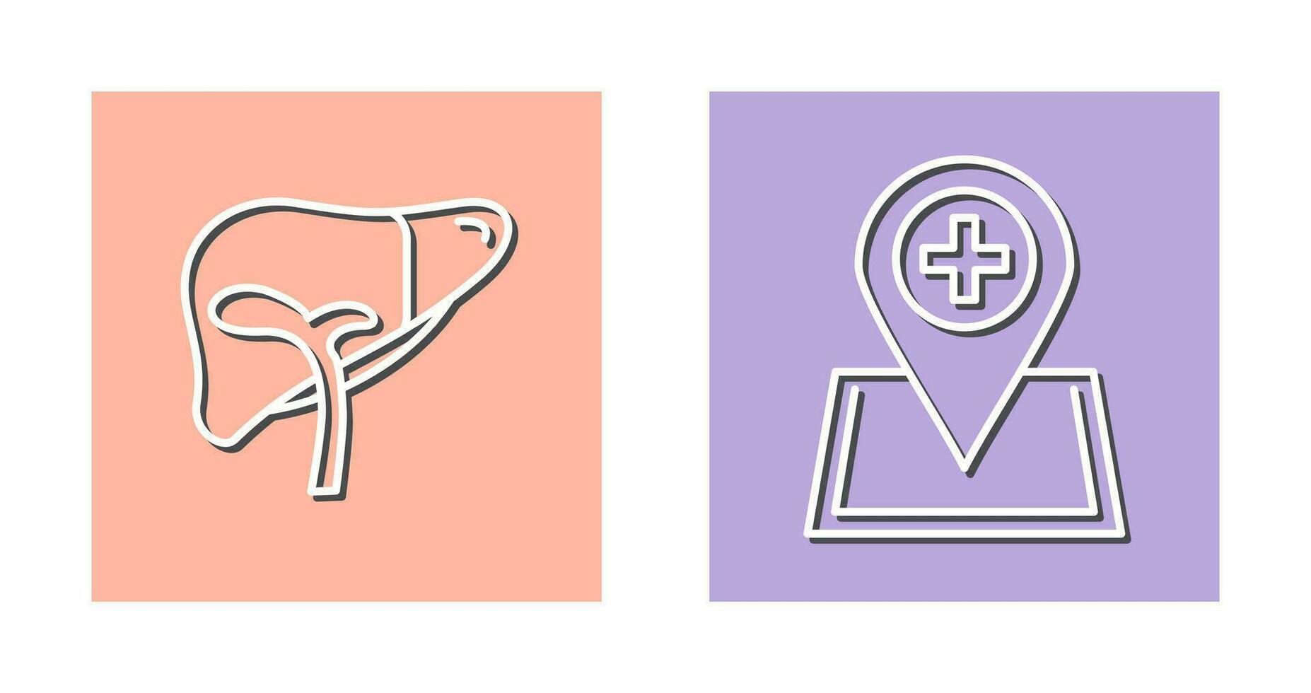 Liver and Location Icon vector