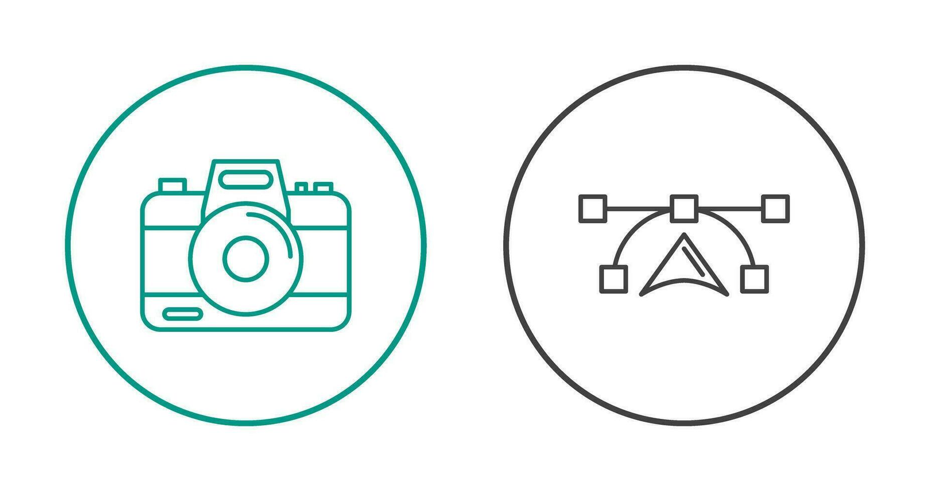 Camera and Vectors Icon