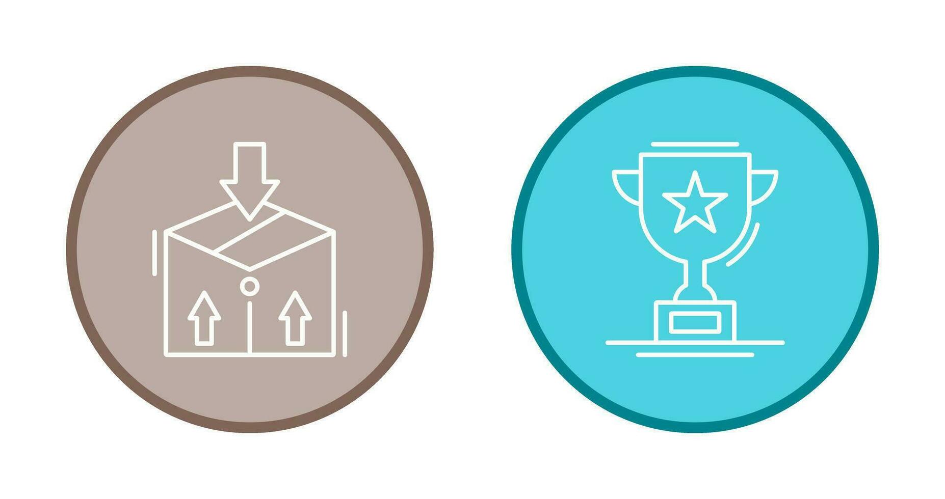 Package and Trophy Icon vector