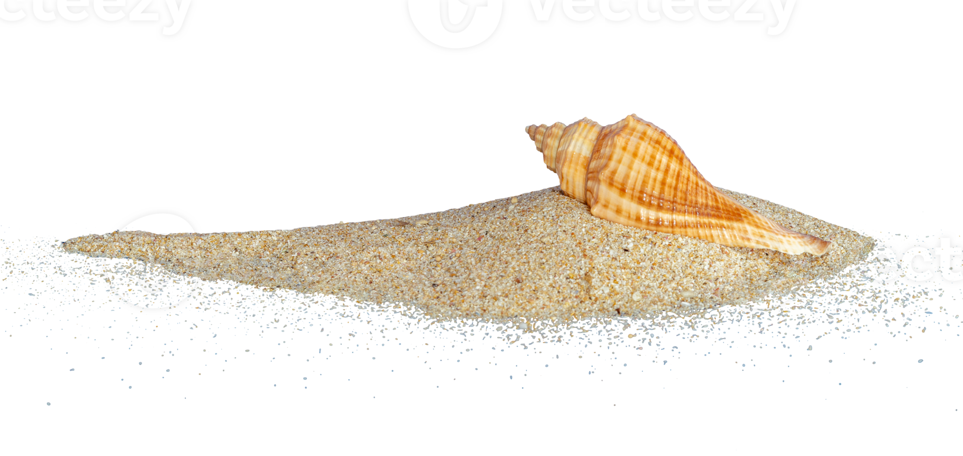 dune of sand with seashell isolated png