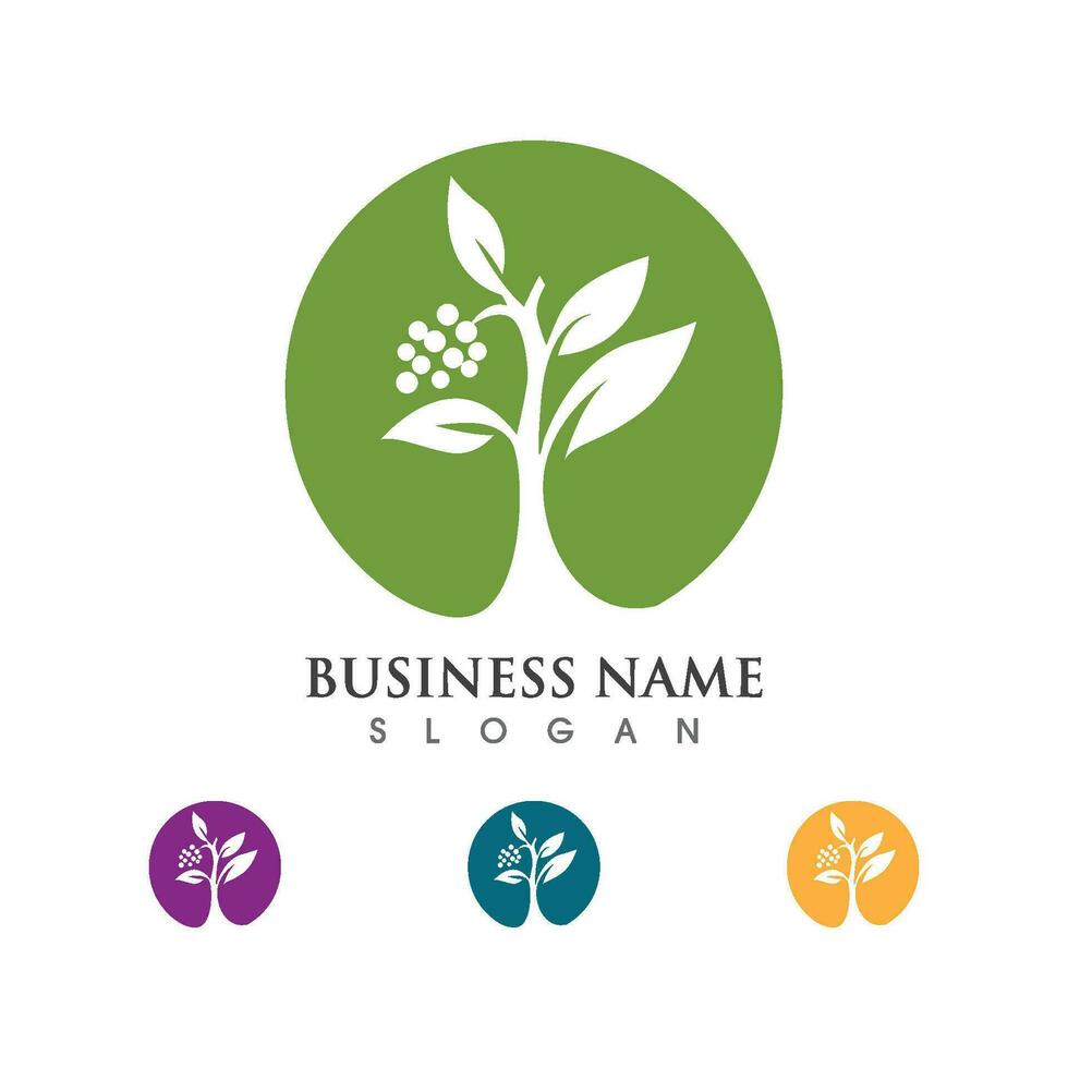 Logos of green Tree leaf ecology vector
