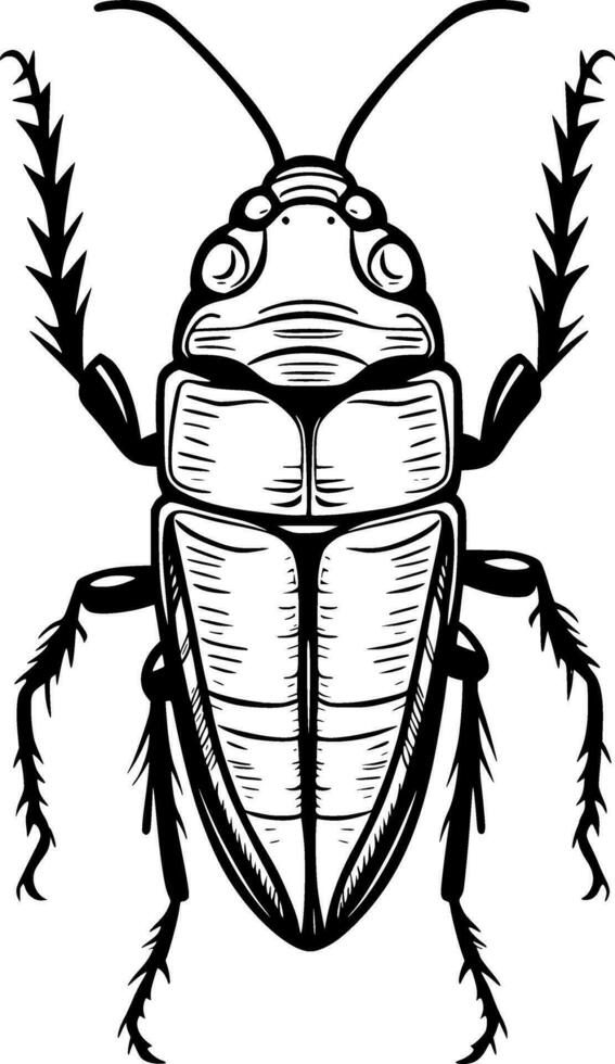 art cockroach cartoon vector