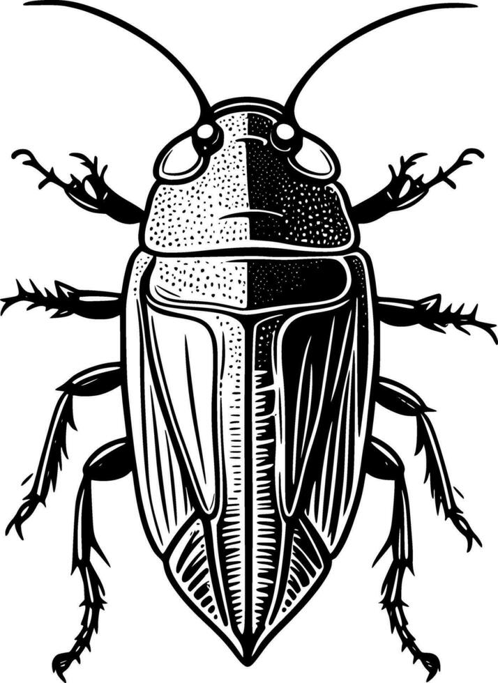 art cockroach cartoon vector