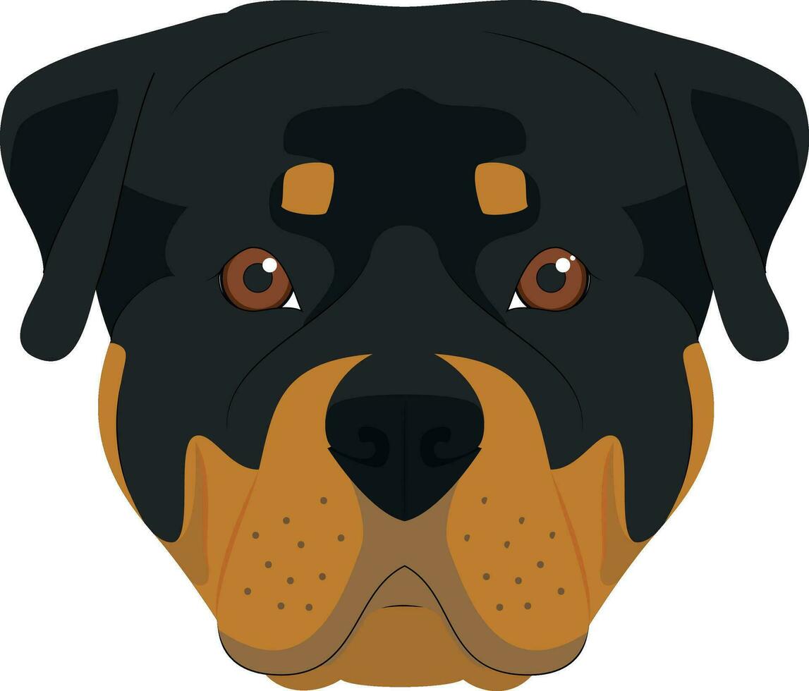 Rottweiler dog isolated on white background vector illustration