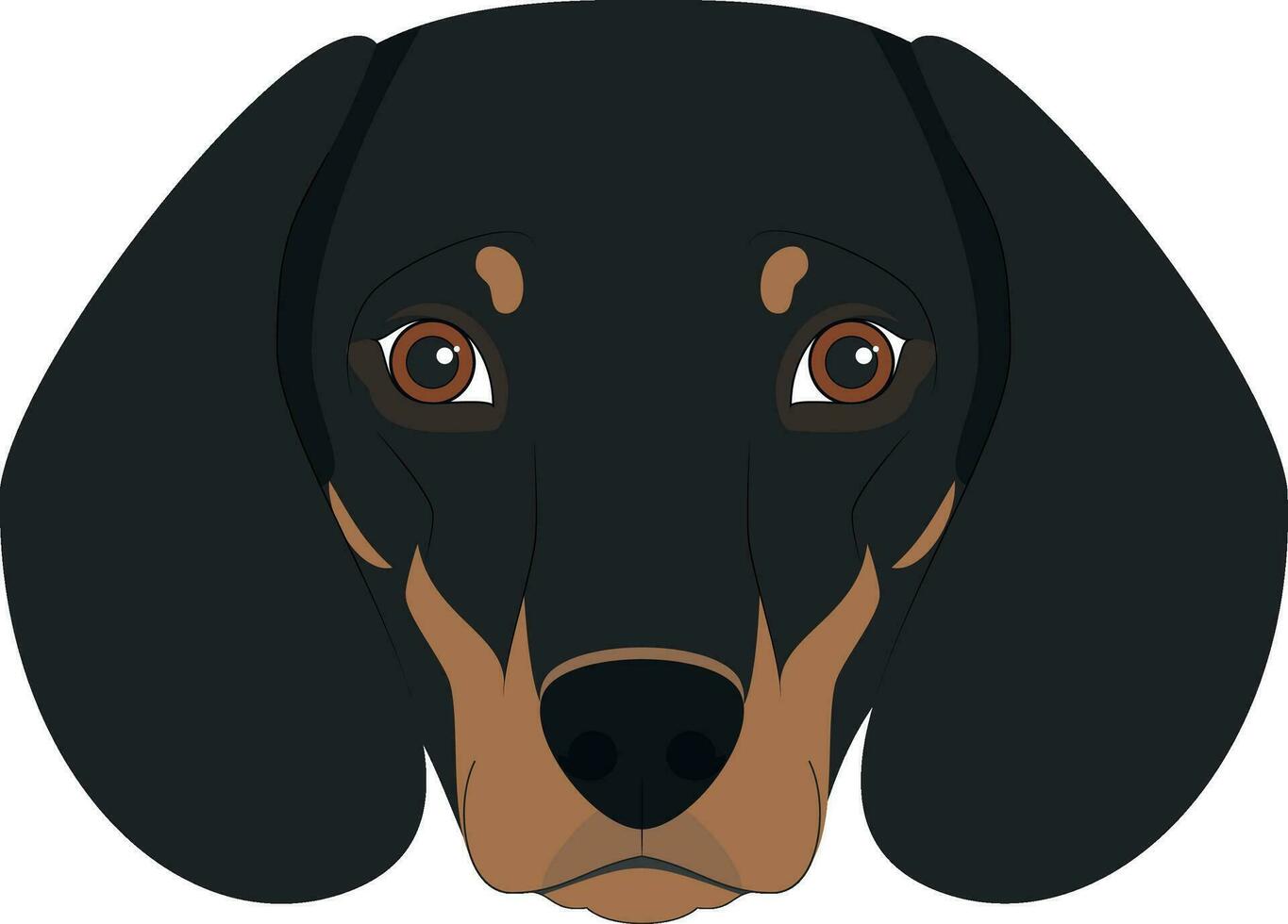 Dachshund dog isolated on white background vector illustration