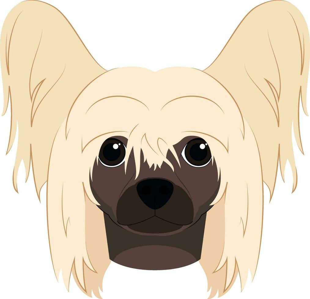 chino crestado perro aislado en blanco antecedentes vector ilustración