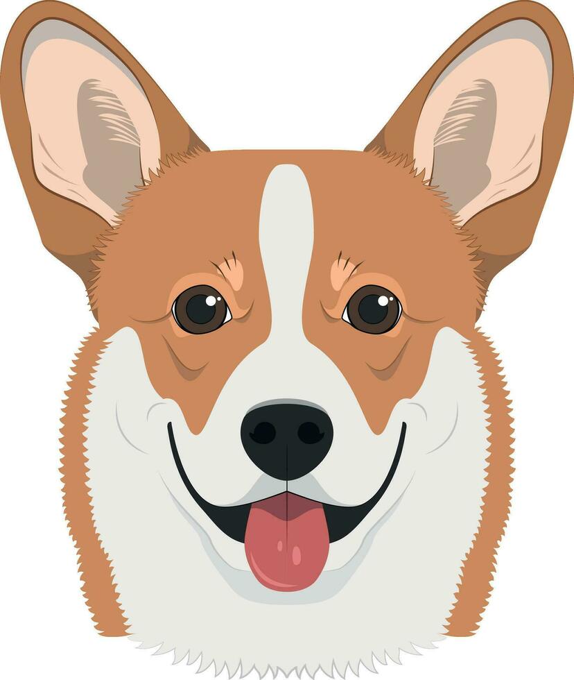 Pembroke Welsh Corgi dog isolated on white background vector illustration