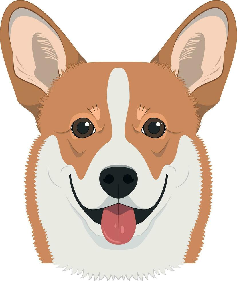 pembroke galés corgi perro aislado en blanco antecedentes vector ilustración