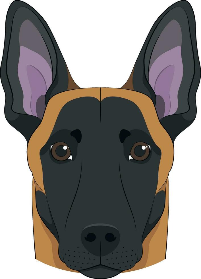 Belga pastor malinois perro aislado en blanco antecedentes vector ilustración