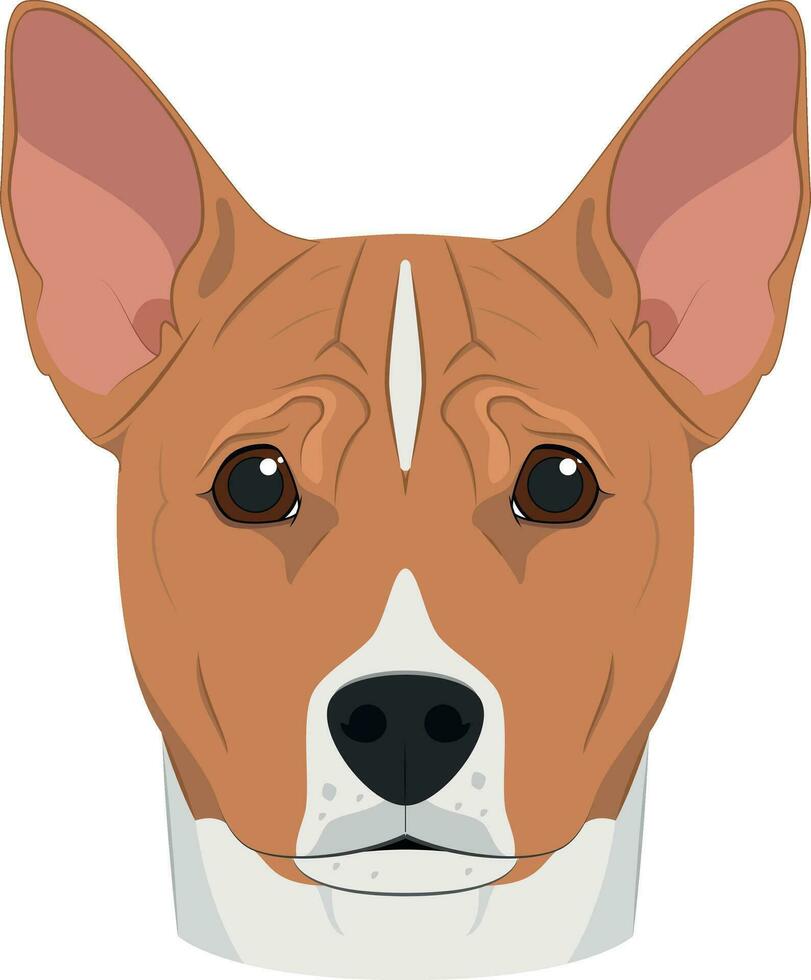 basenji perro aislado en blanco antecedentes vector ilustración