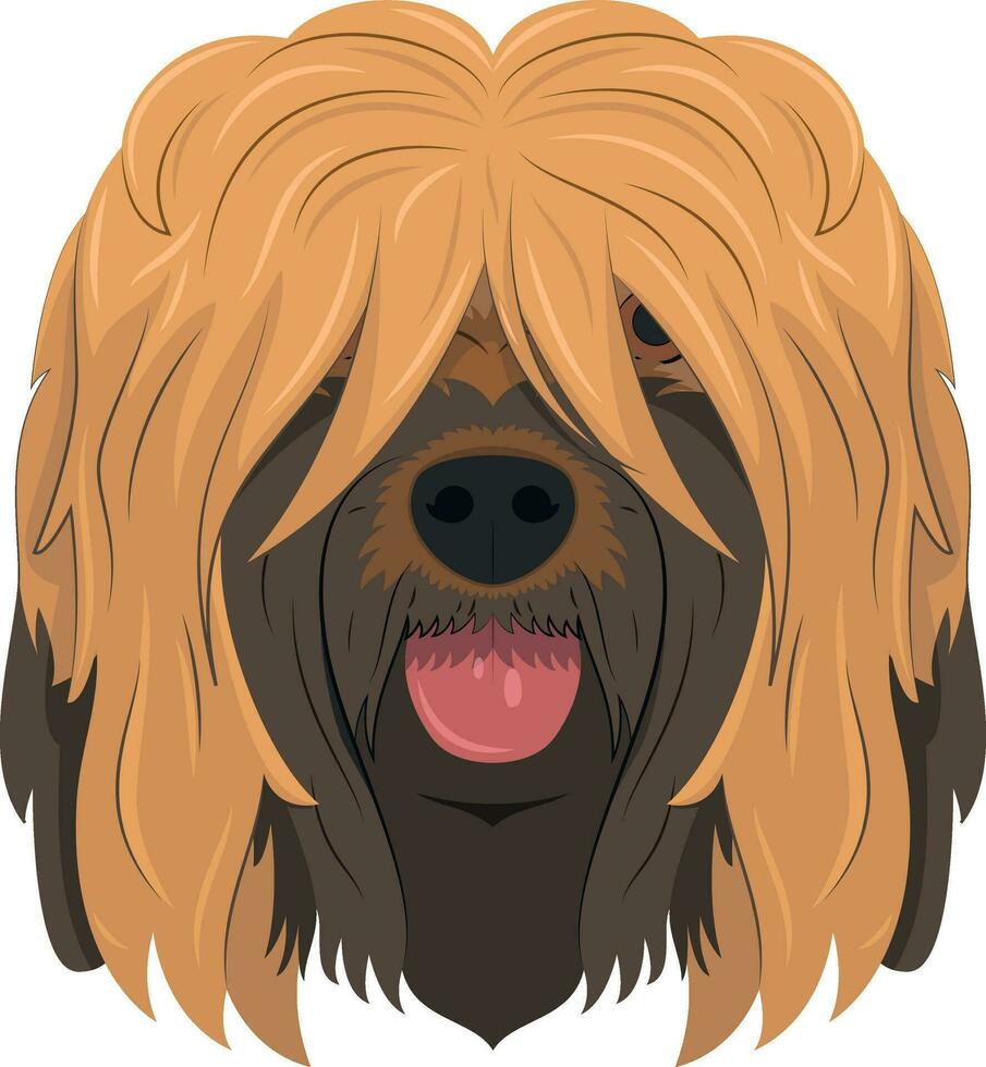 briard o queso Brie pastor perro aislado en blanco antecedentes vector ilustración