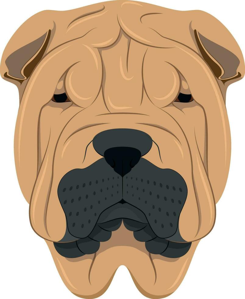 Shar pei perro aislado en blanco antecedentes vector ilustración