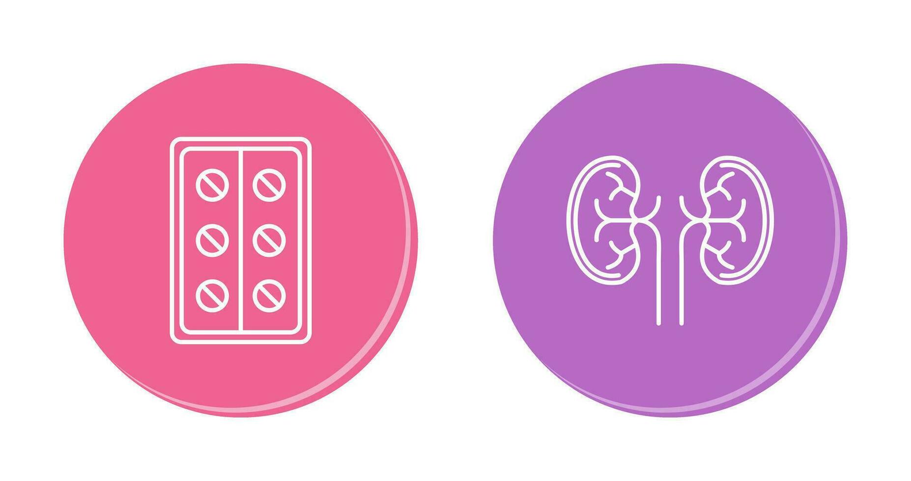 Pills and Kidney Icon vector