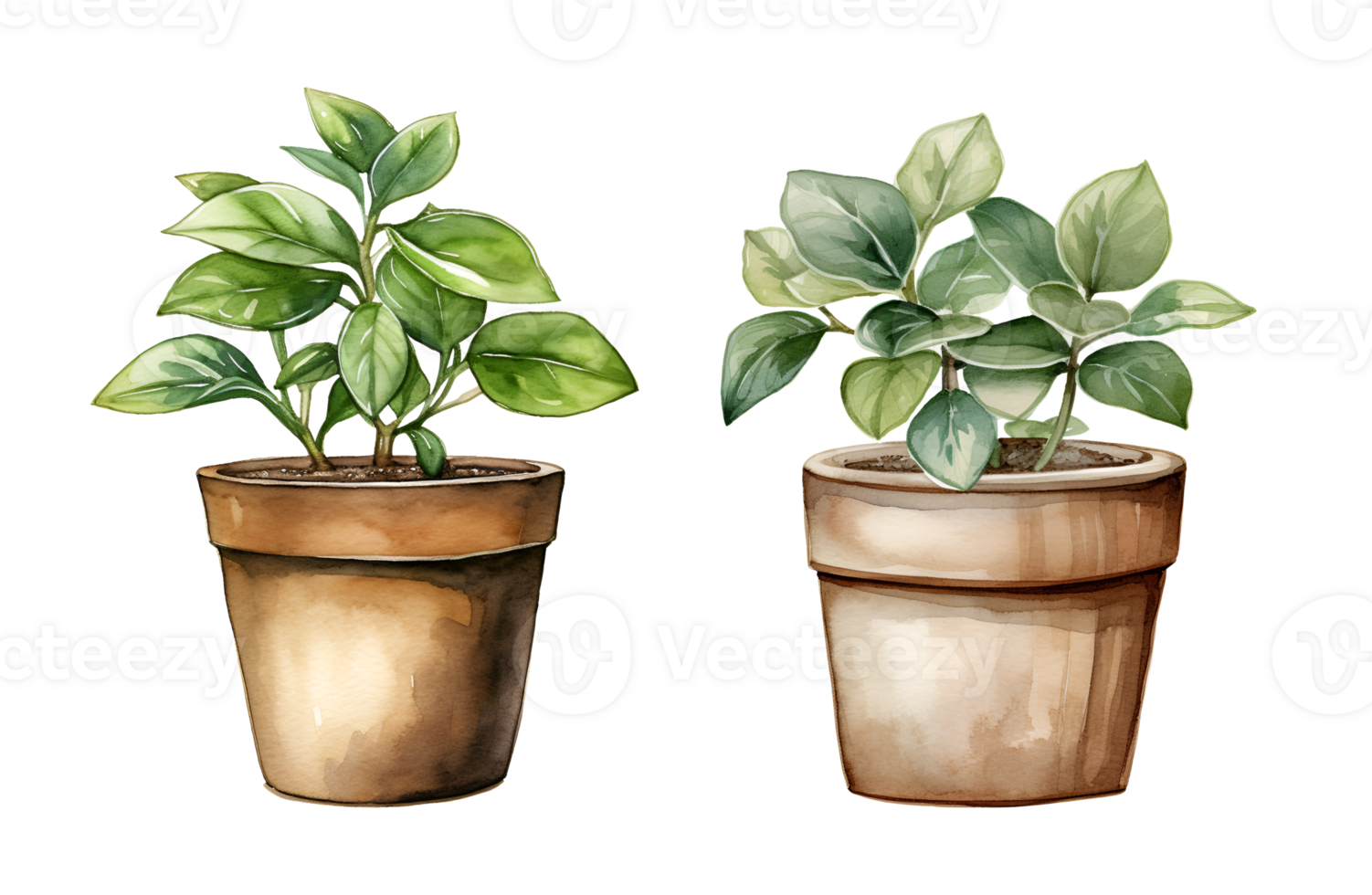 Flower pot, garden watercolor clipart illustration with isolated background png