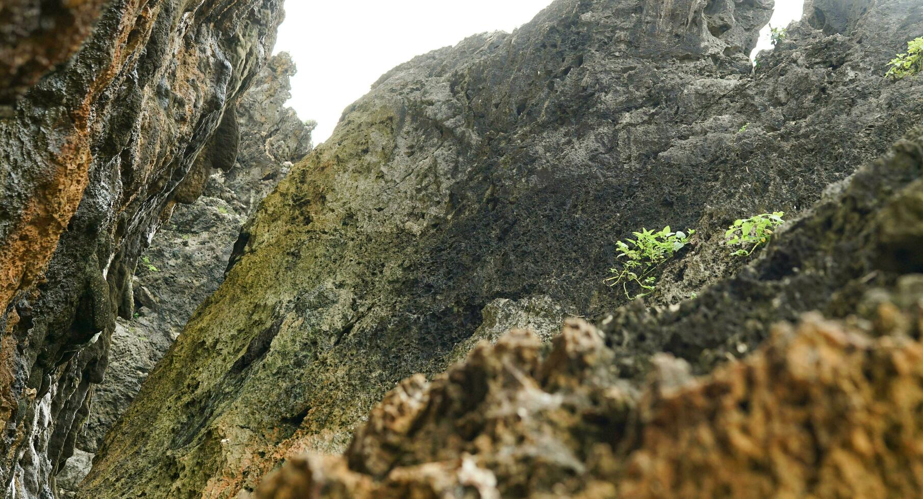 panorámico puntos de vista de el playa, coral montañas foto