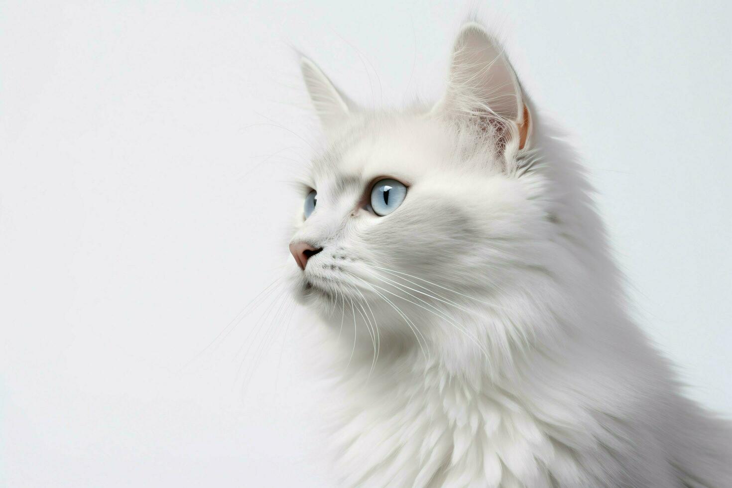 photo of a cat on a plain white background. ai generated