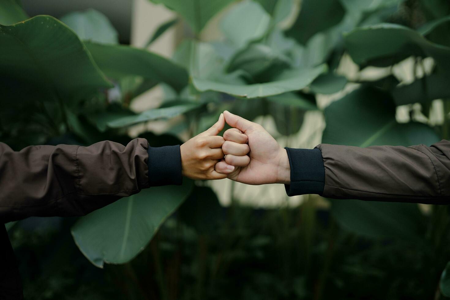 promise of loyalty with a handshake as a sign of love for the couple with a natural background photo