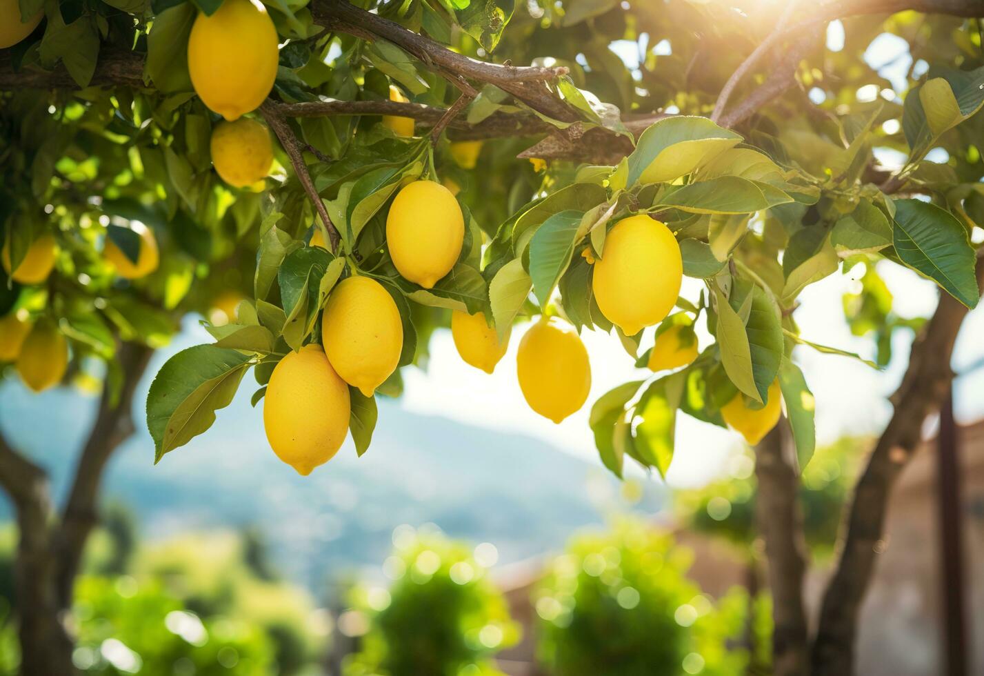 Lemons growing in a sunny garden on Amalfi coast in Italy. AI Generated photo