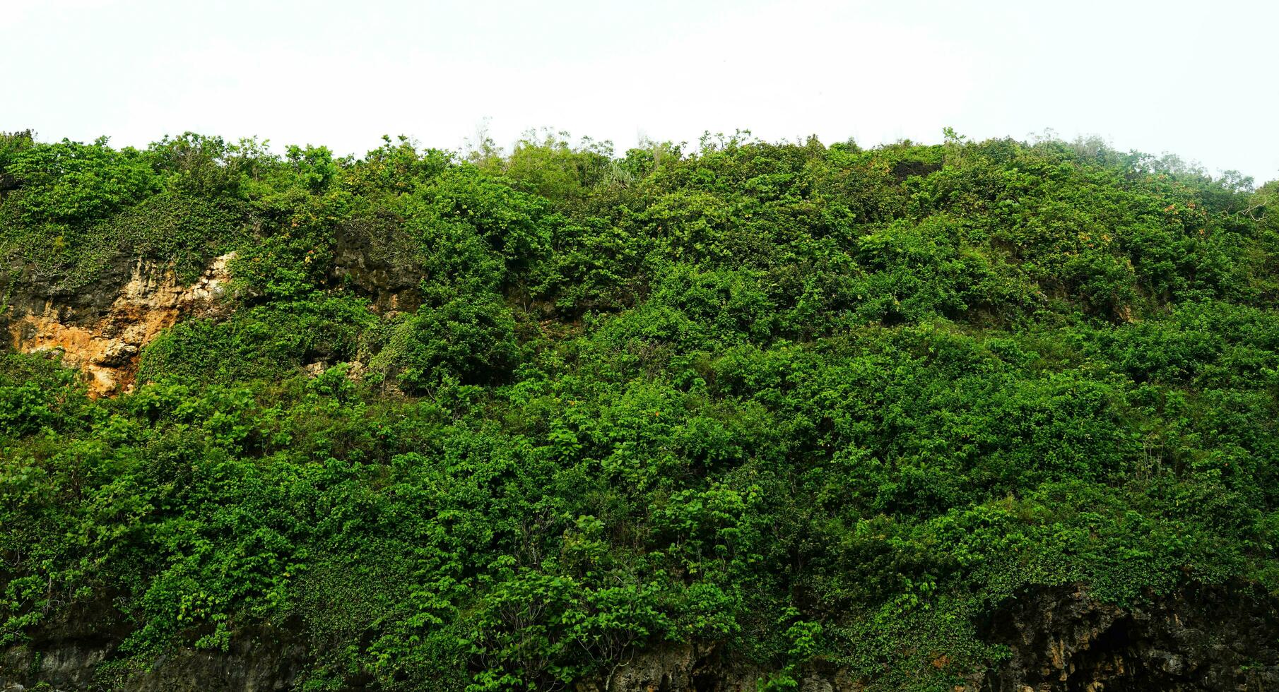 panoramic view of the beach, coral mountains with waves in the afternoon photo