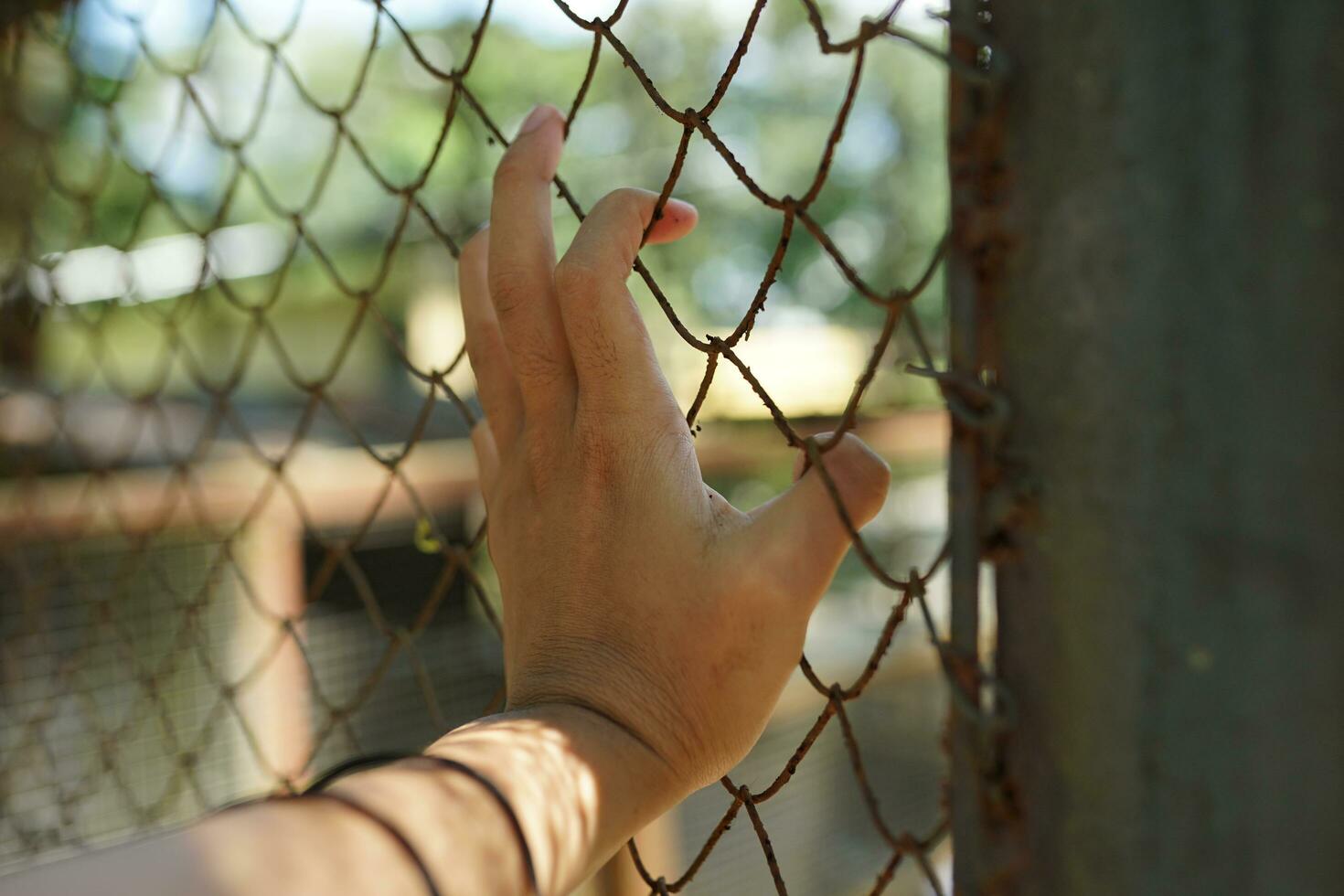 hands on the bars gripping the steel net photo