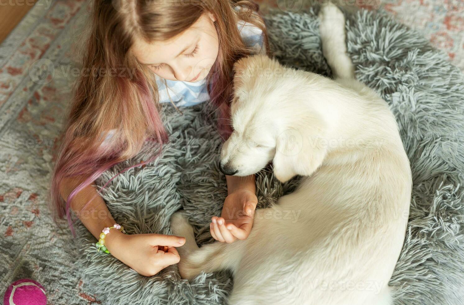 Little girl playing with a golden retriever puppy at home. photo