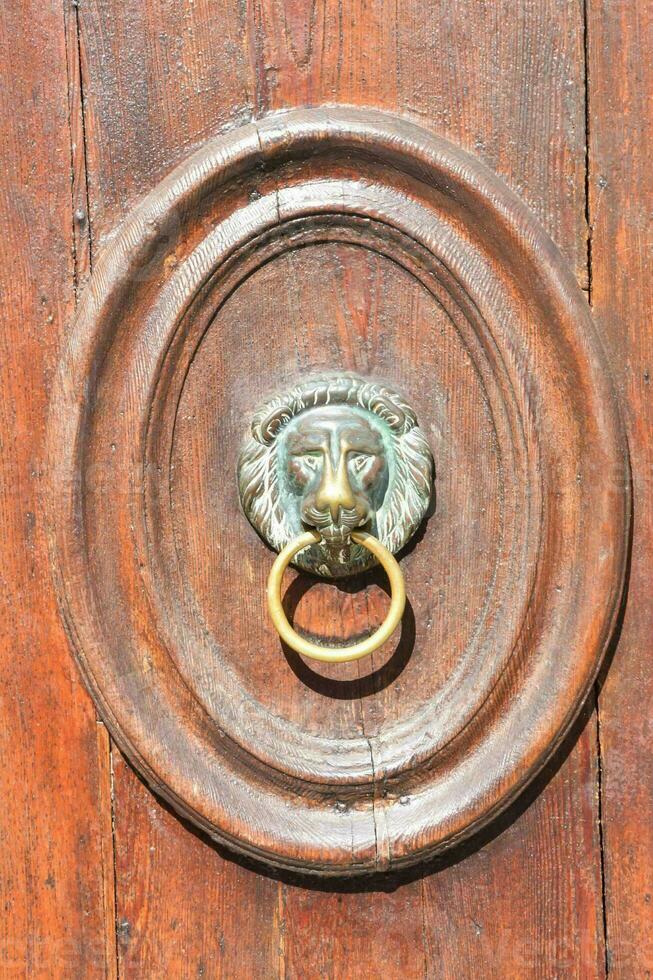 a lion head on a wooden door handle photo