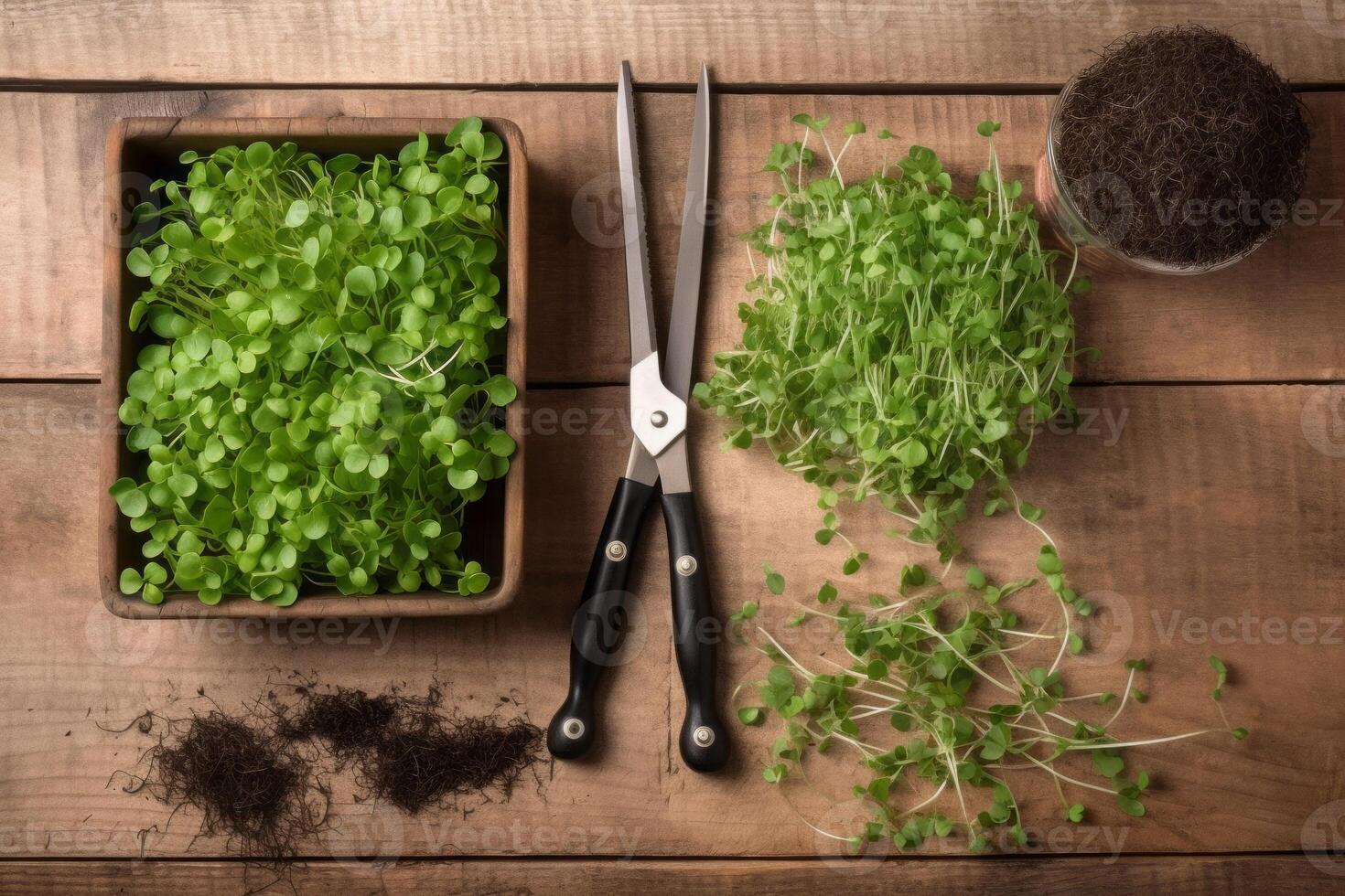 Fresh organic microgreens and gardening tools on wooden table. Generate ai photo