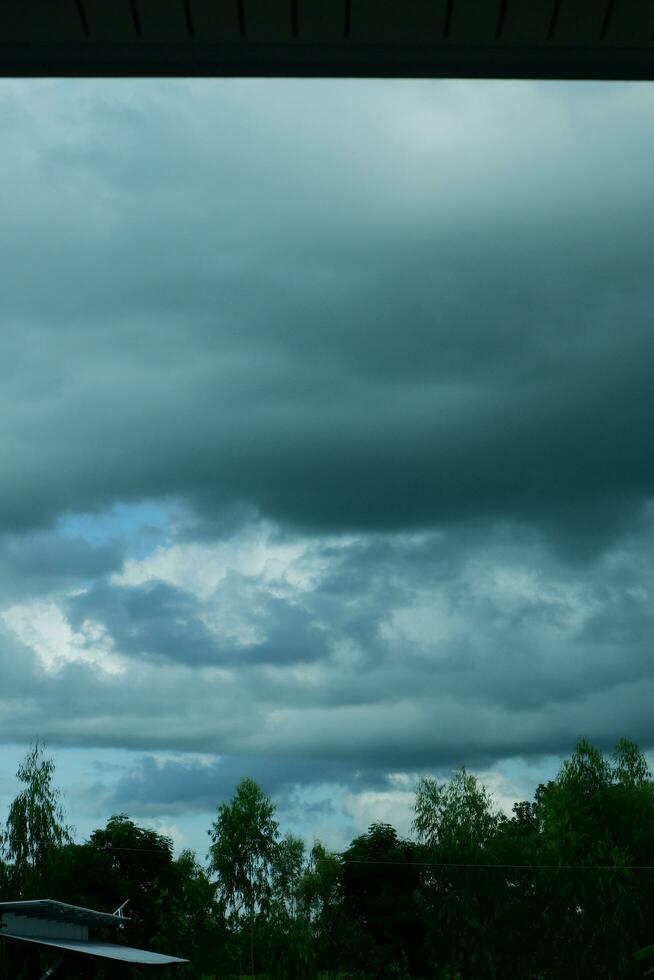 Take to the skies before it rains. photo