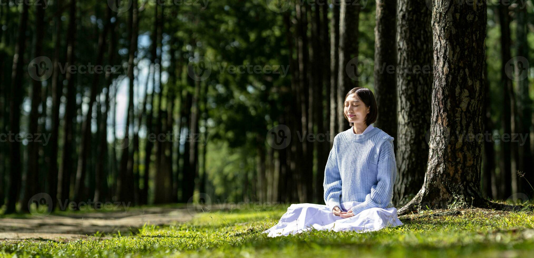 mujer relajantemente practicando meditación en el pino bosque a alcanzar felicidad desde interior paz sabiduría con haz de Dom ligero para sano mente y alma para sano mente y alma foto