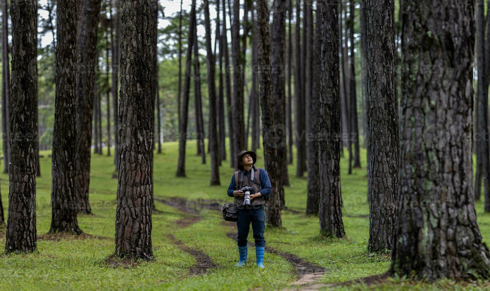 Photographer is taking photo of the new discovering bird species while exploring in the pine forest for surveying and locating the rare biological diversity and ecologist on field study usage