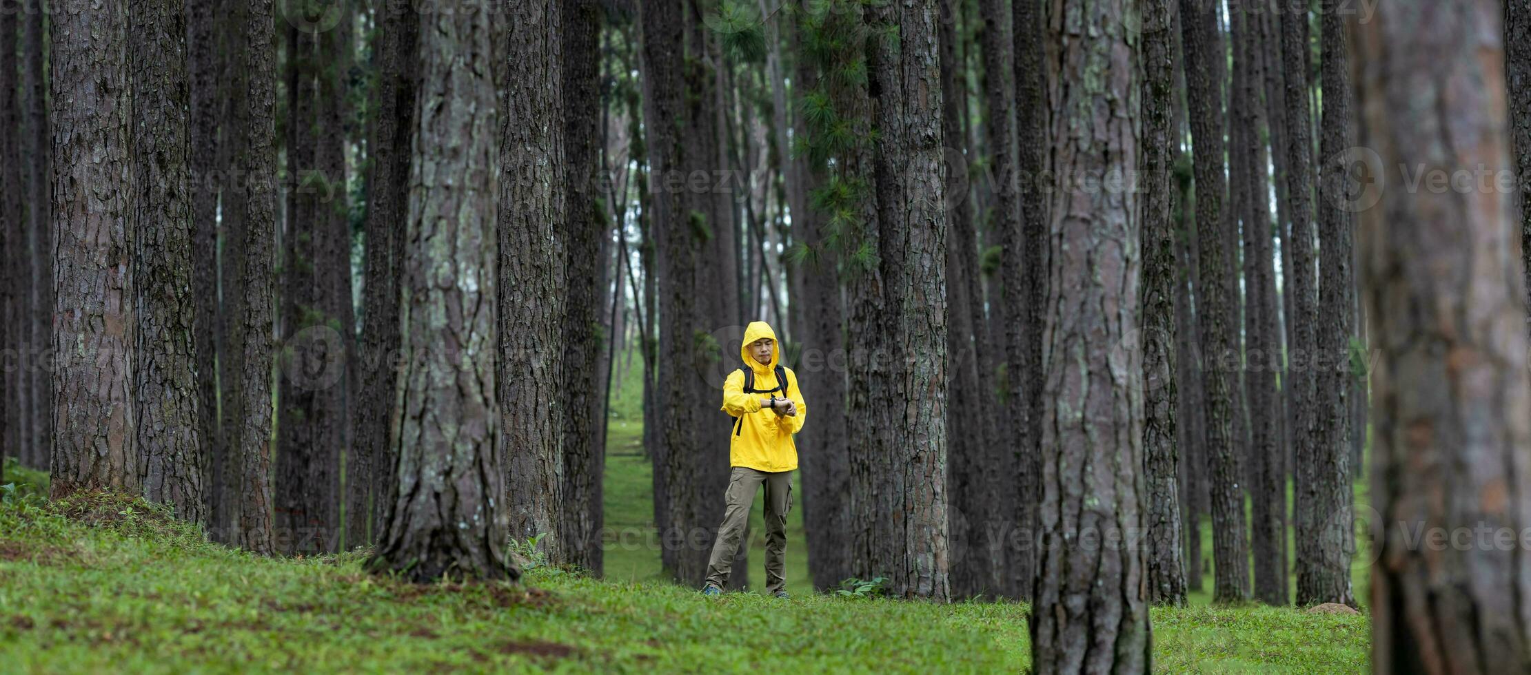 Traveller is looking at smart watch while trekking through the mountain with pine forest during summer with green grass cover in the lush highland for nature loving and wildlife exploration concept photo