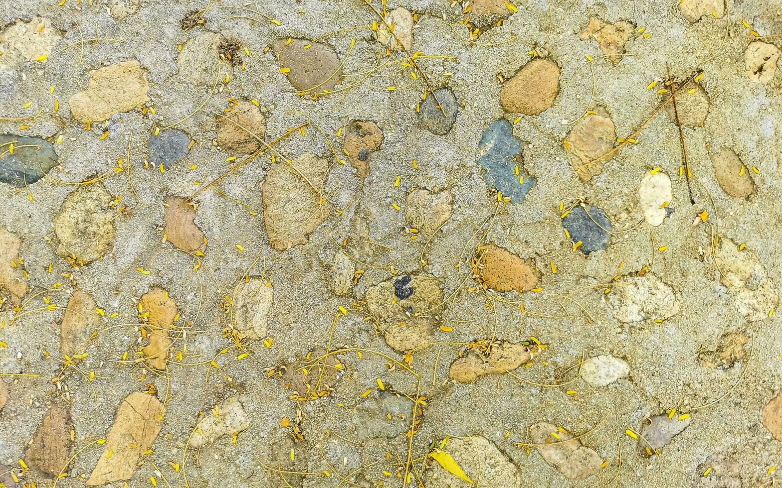 textura detalle de pared con rocas piedras ladrillo ladrillos México. foto