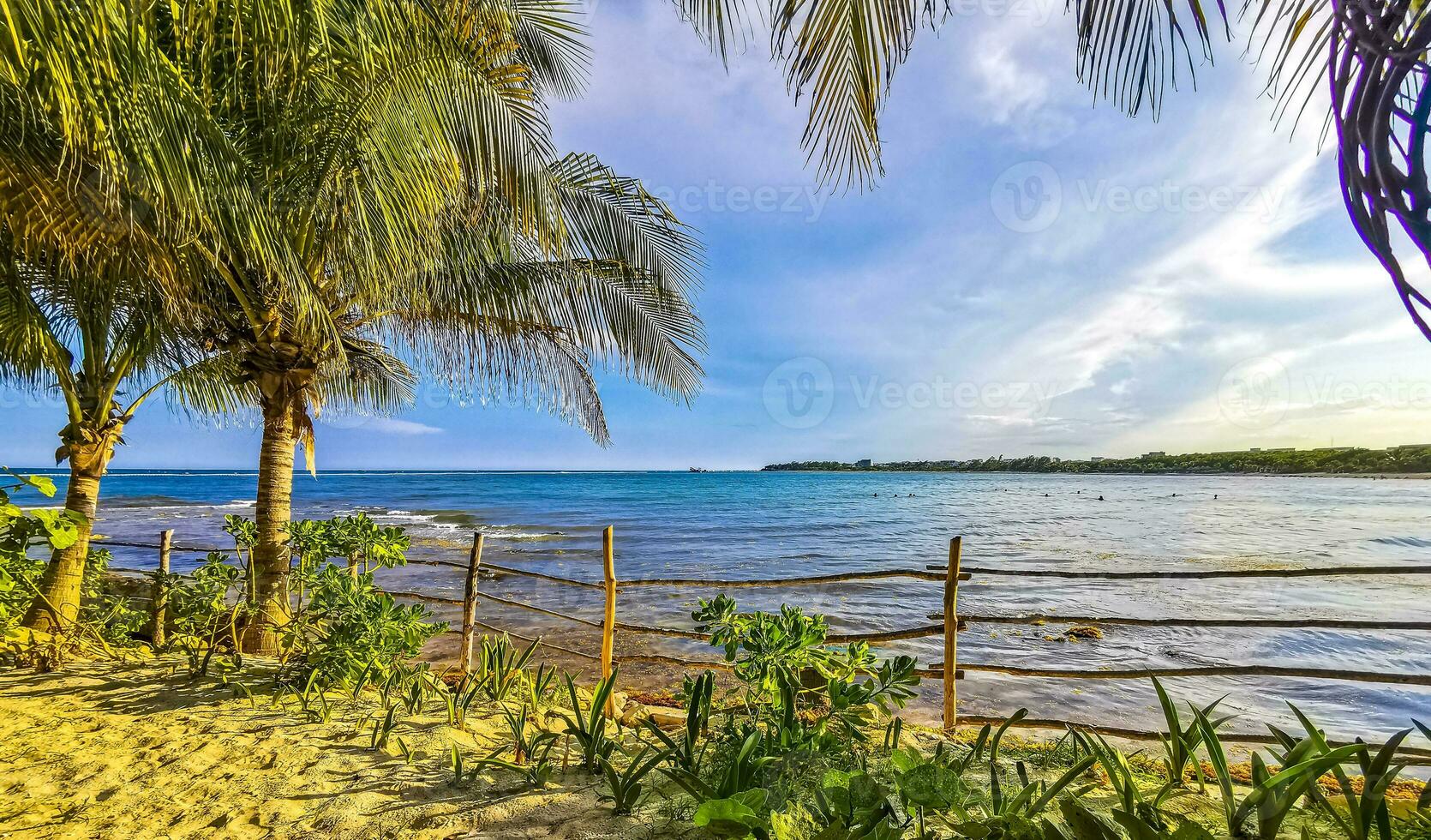 Wooden trail walk path and fence at Caribbean beach Mexico. photo