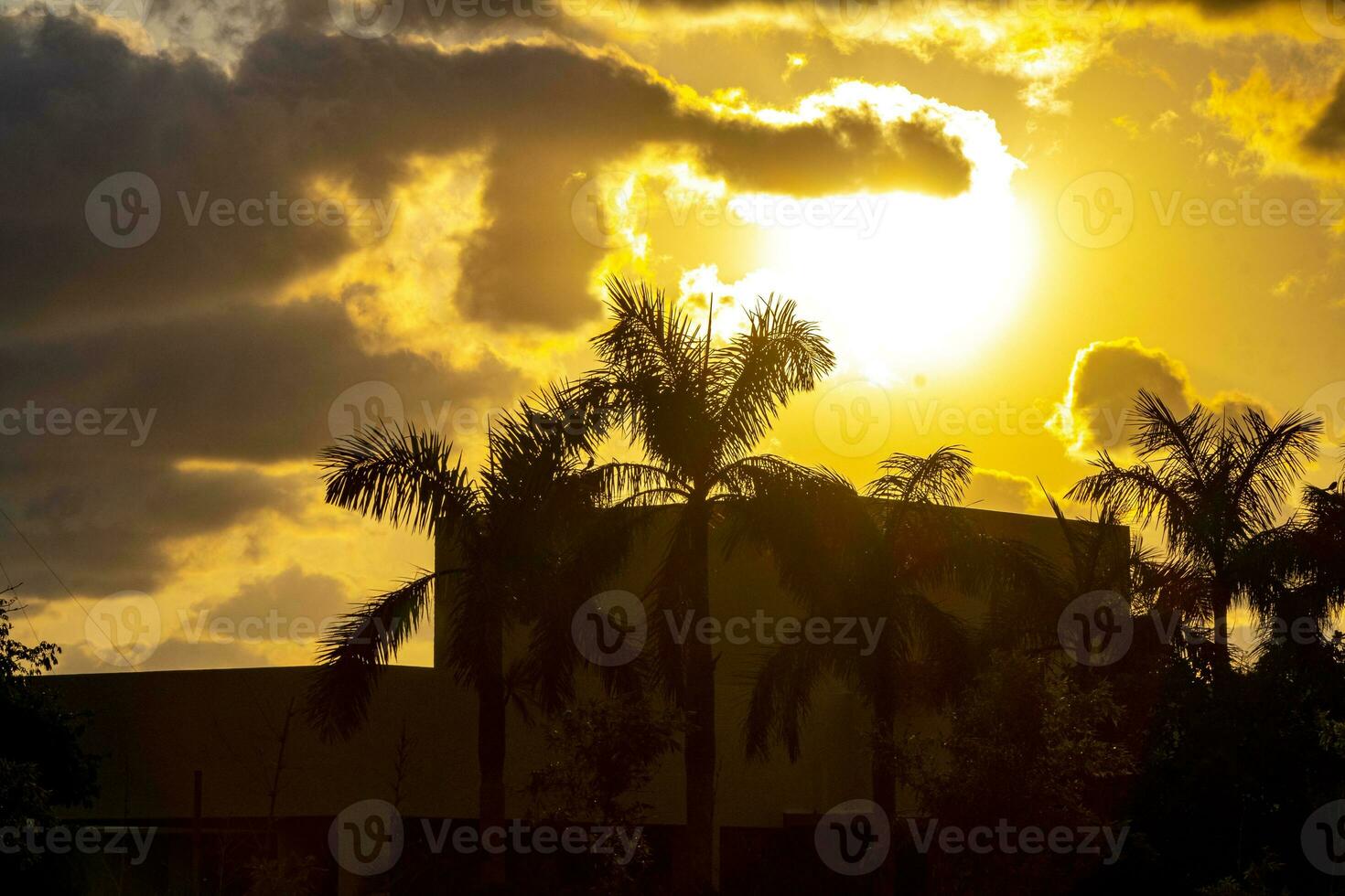 Colorful golden sunset sunrise tropical Caribbean palm trees clouds Mexico. photo