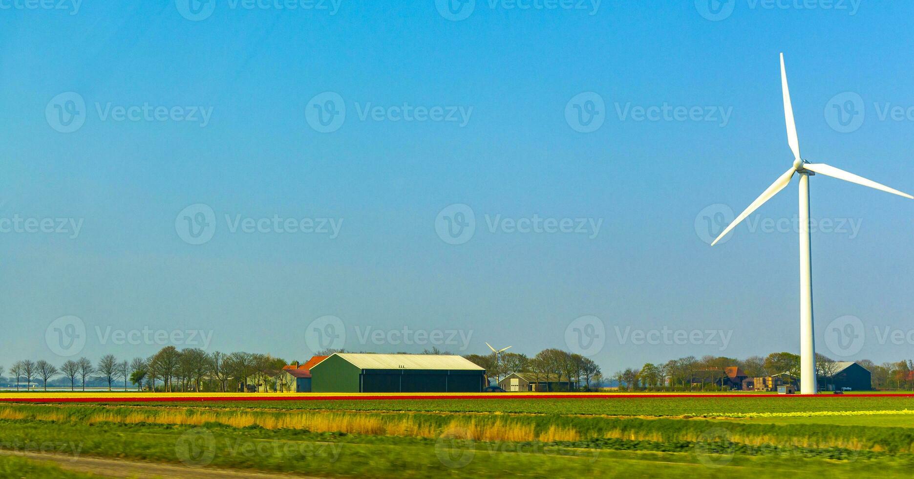 viento turbinas en campos en el campo en norte Holanda Países Bajos. foto