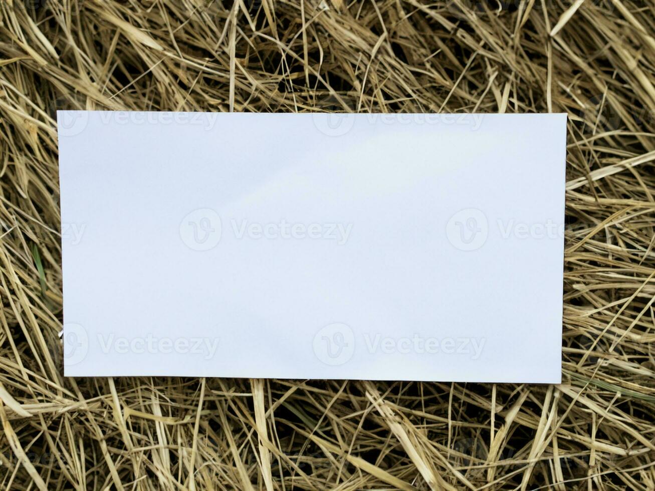 blank paper on the grass photo