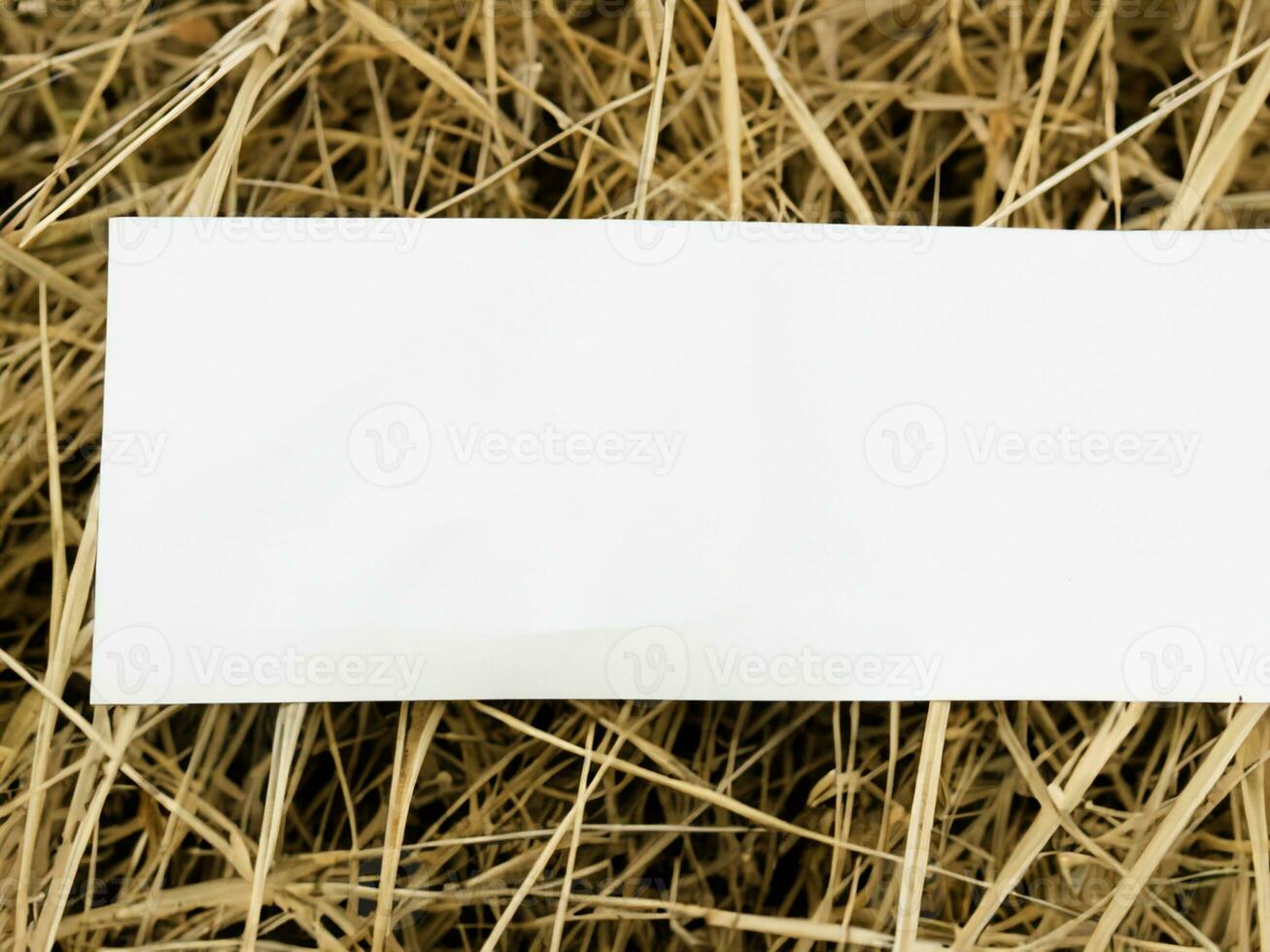 blank paper on the grass photo