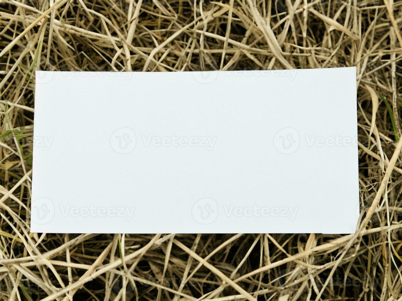blank paper on the grass photo