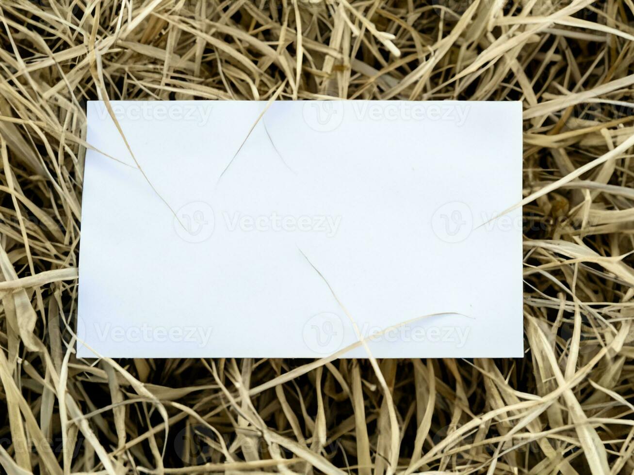 blank paper on the grass photo