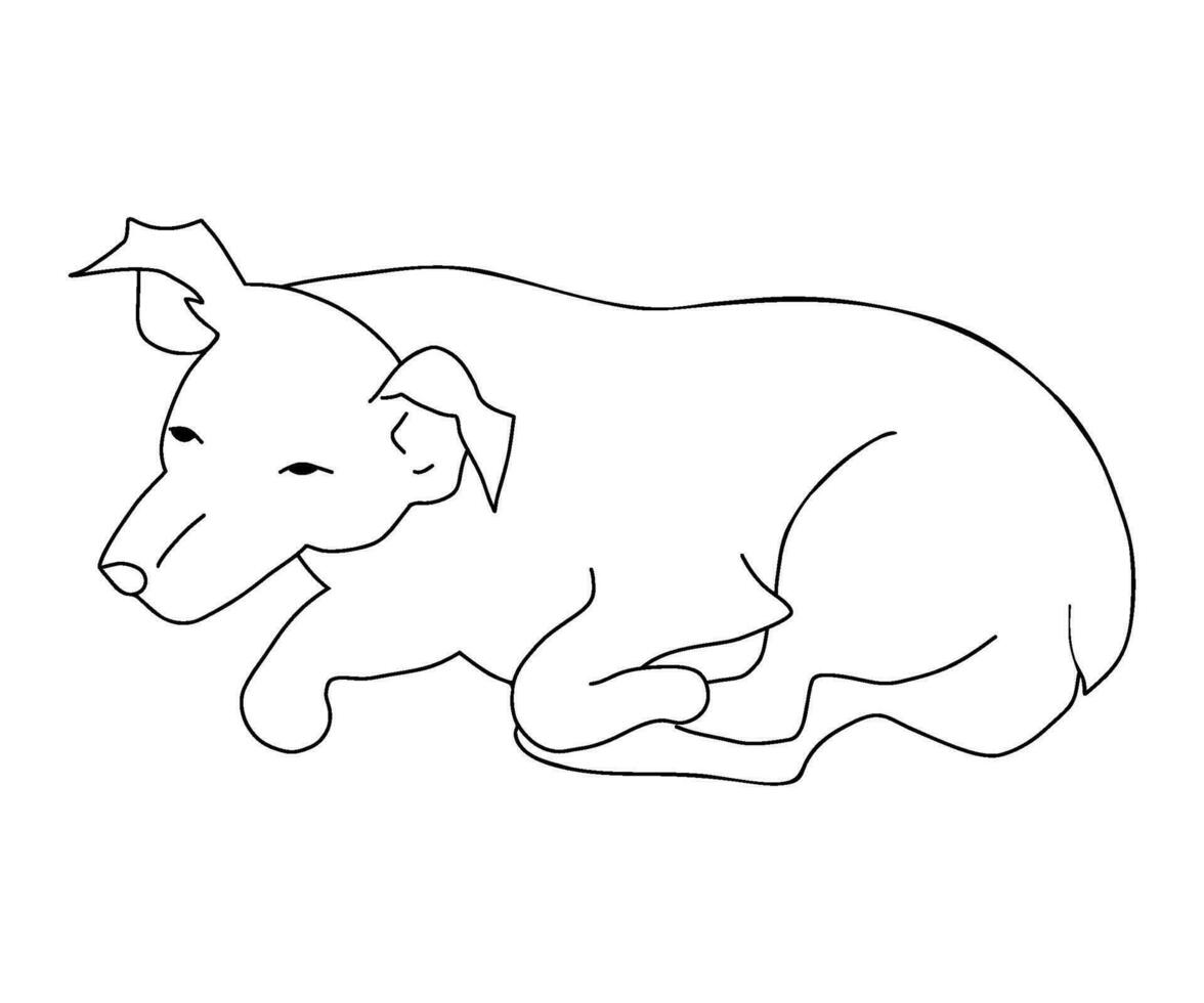 Dog. Outline drawing of pet lies and sleeps. Vector illustration. hand drawn .