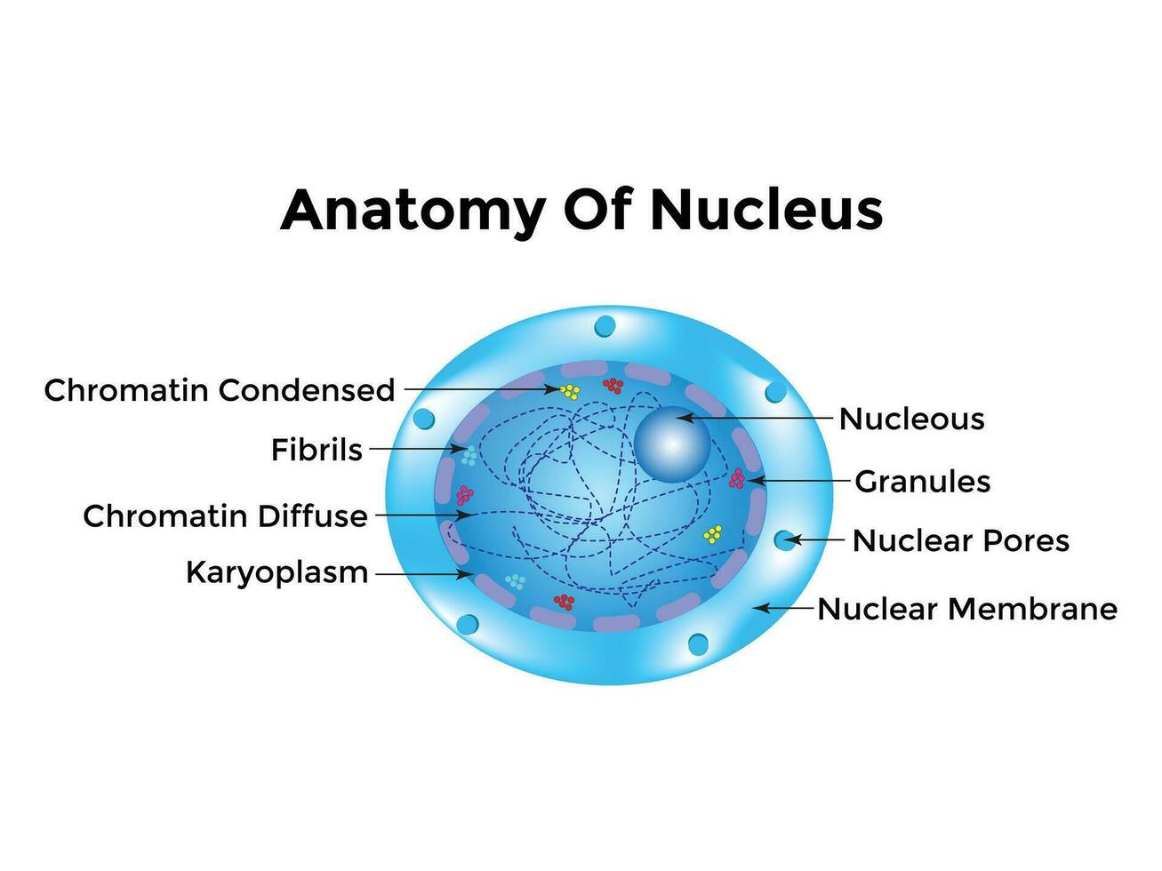 Atom Scientific poster with atomic structure nucleus of protons and neutrons, orbital electrons. Vector illustration. Symbol of nuclear energy, scientific research, and molecular chemistry.