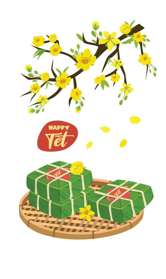 Vietnamese traditional lunar new year vector set. Vietnamese new year cuisine and flower. Chung cake vector and ochna integerrima  tree branch vector. Banh chung, hoa mai. Vietnamese Tet. Tet holiday.