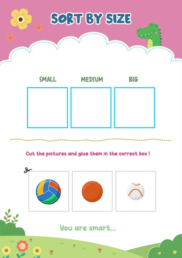 Sorting pictures according to size vector