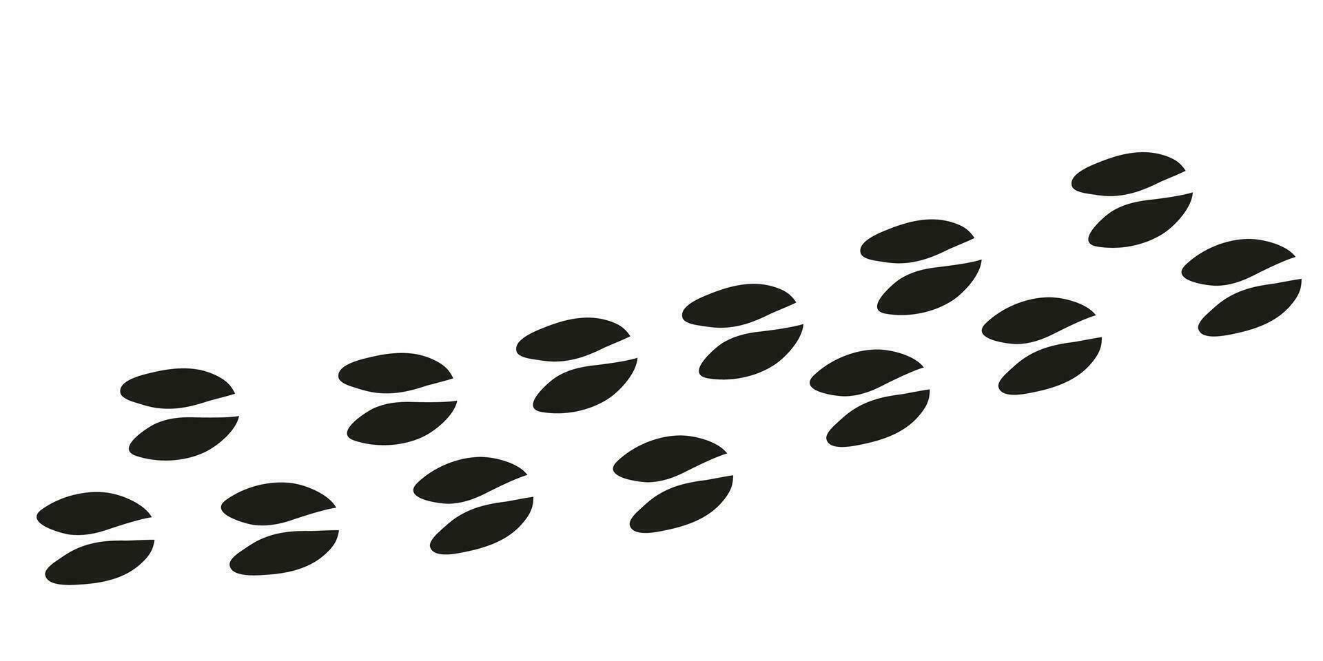 Roe deer paws. Animal foot traces. Roe deer black footprints on white background. Flat vector illustration. Design for print, decoration, childrens educational book