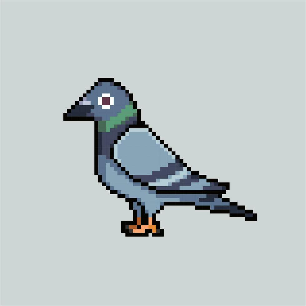 Pixel art illustration Pigeon. Pixelated Pigeon. Pigeon dove pixelated for the pixel art game and icon for website and video game. old school retro. vector