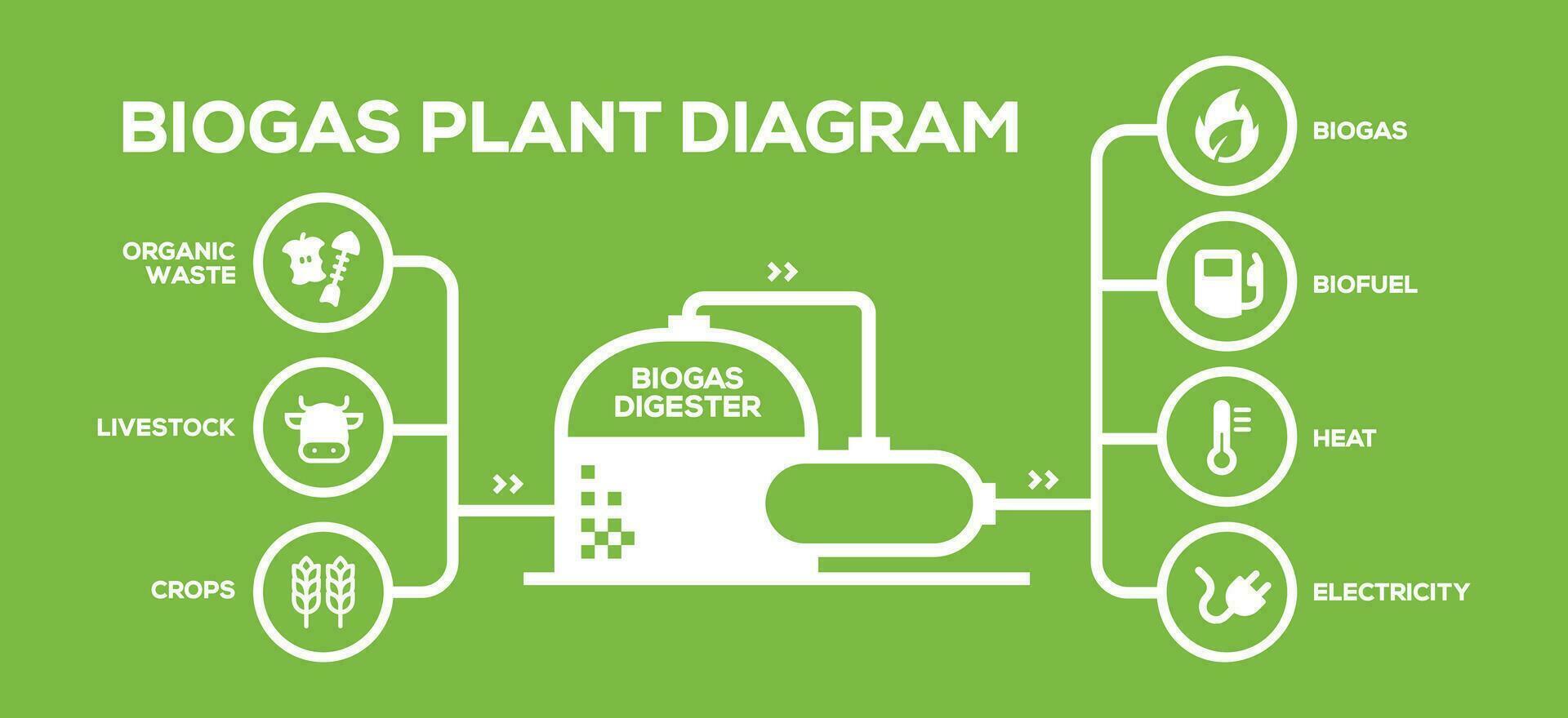 Simple Biogas Plant Diagram. Biogas Production Phases. Illustrated Educational Plan from Farming to Energy vector