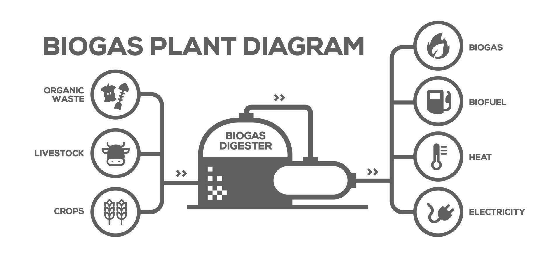 Biogas Plant Diagram. Biogas Production Phases. Illustrated Educational Plan from Farming to Energy vector